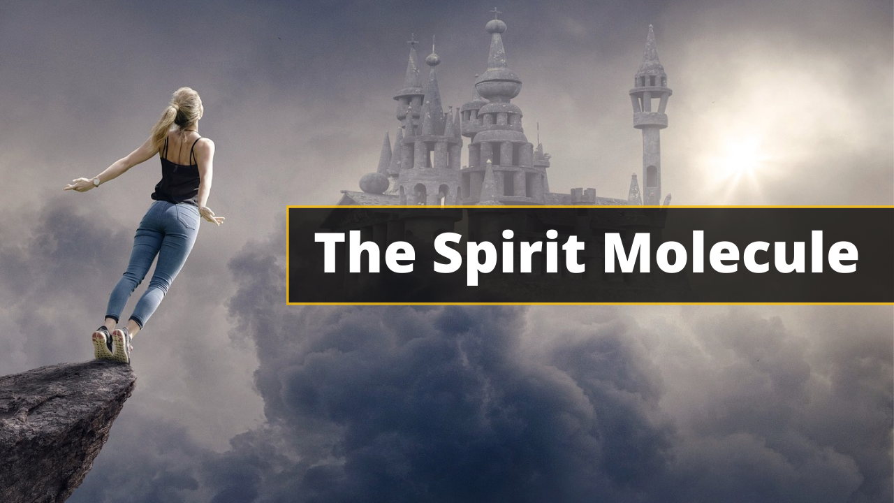 The Spirit Molecule (DMT)